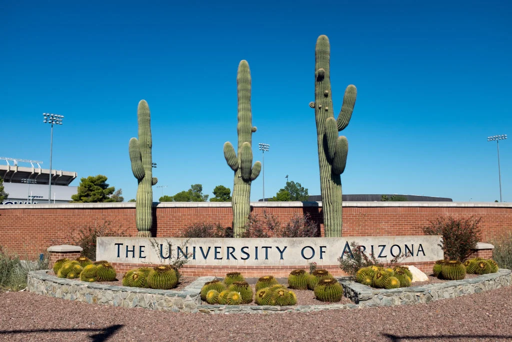 U of Arizona Clears 16 of 21 Fraternities One Week After Suspension