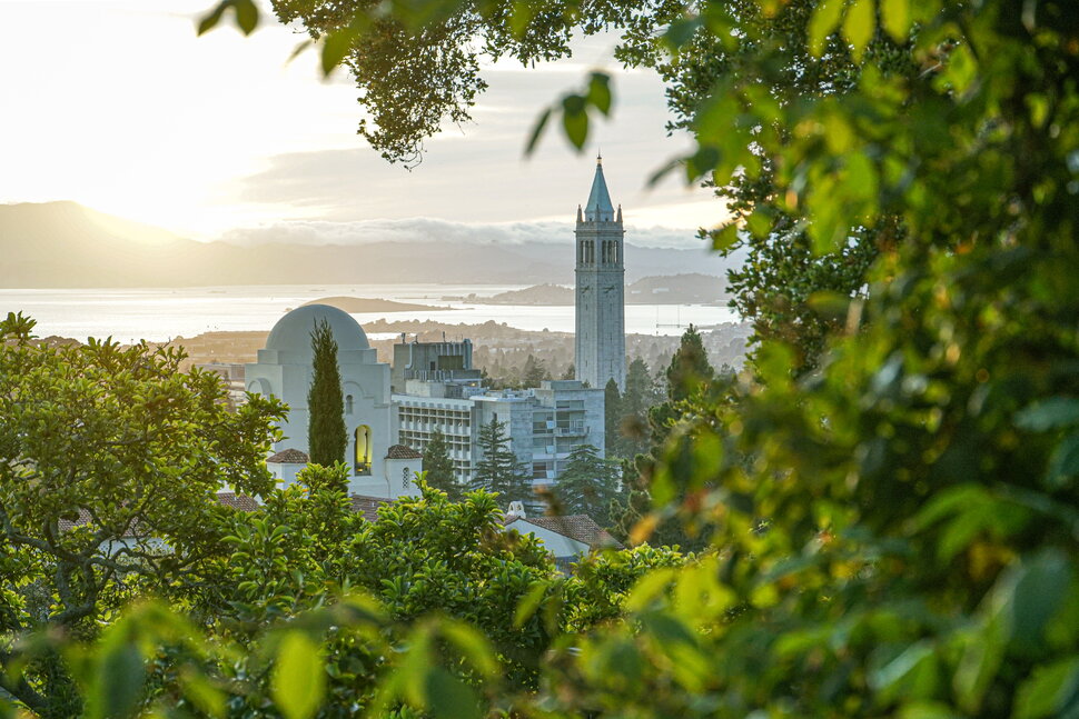 College Holistic Admissions: Q&A With UC Berkeley Dean Olufemi Ogundele