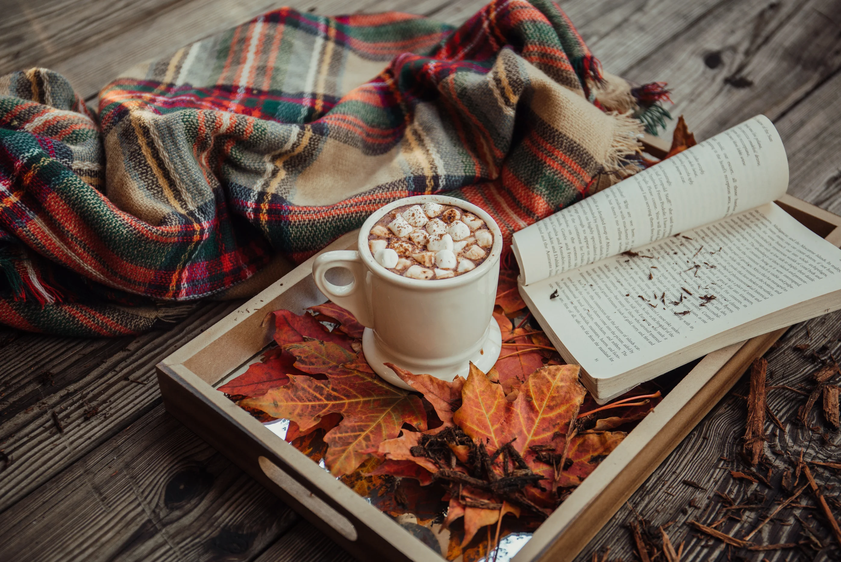 Guide to a Cozy Autumn