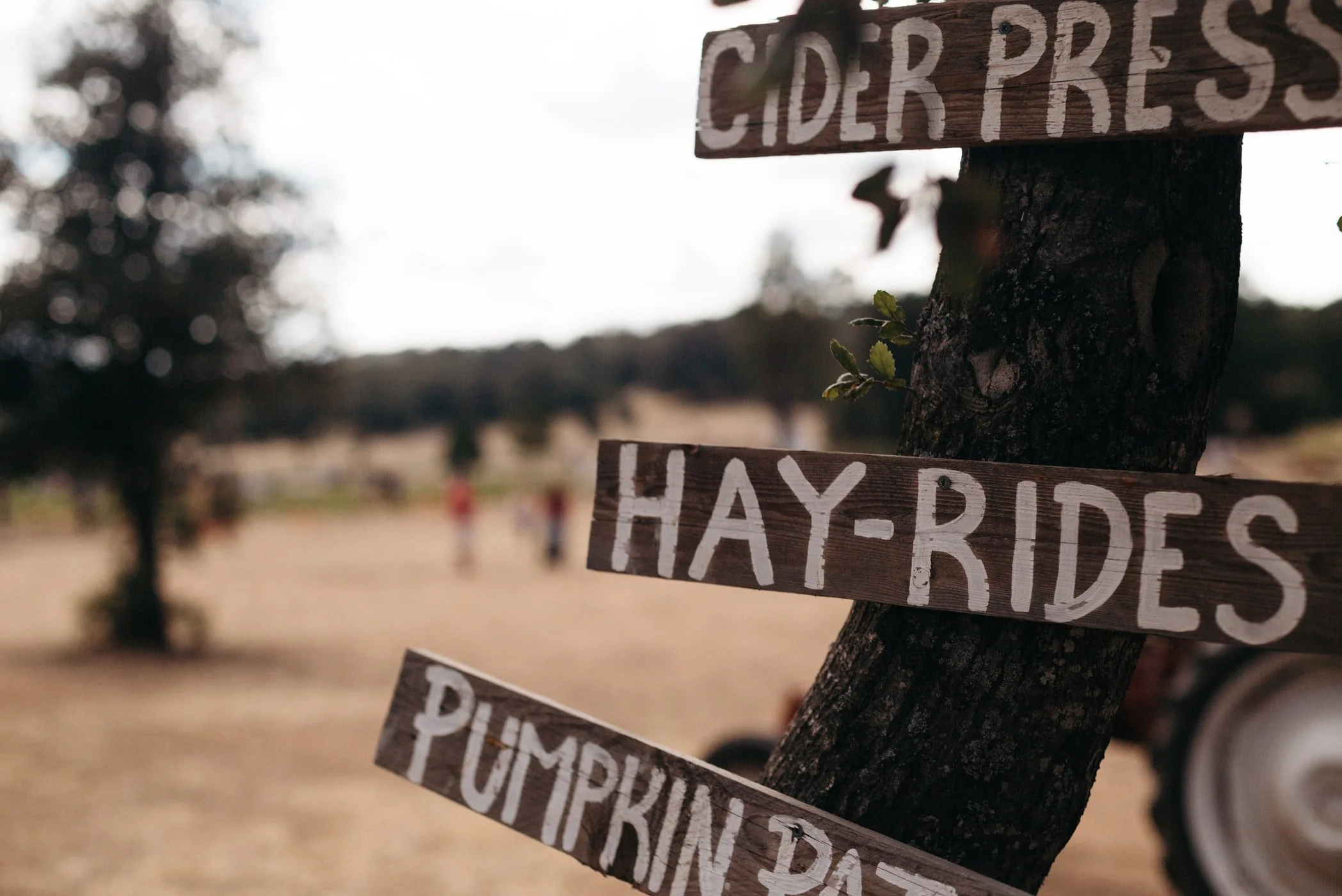 The Ultimate Fall Bucket-List for College Students