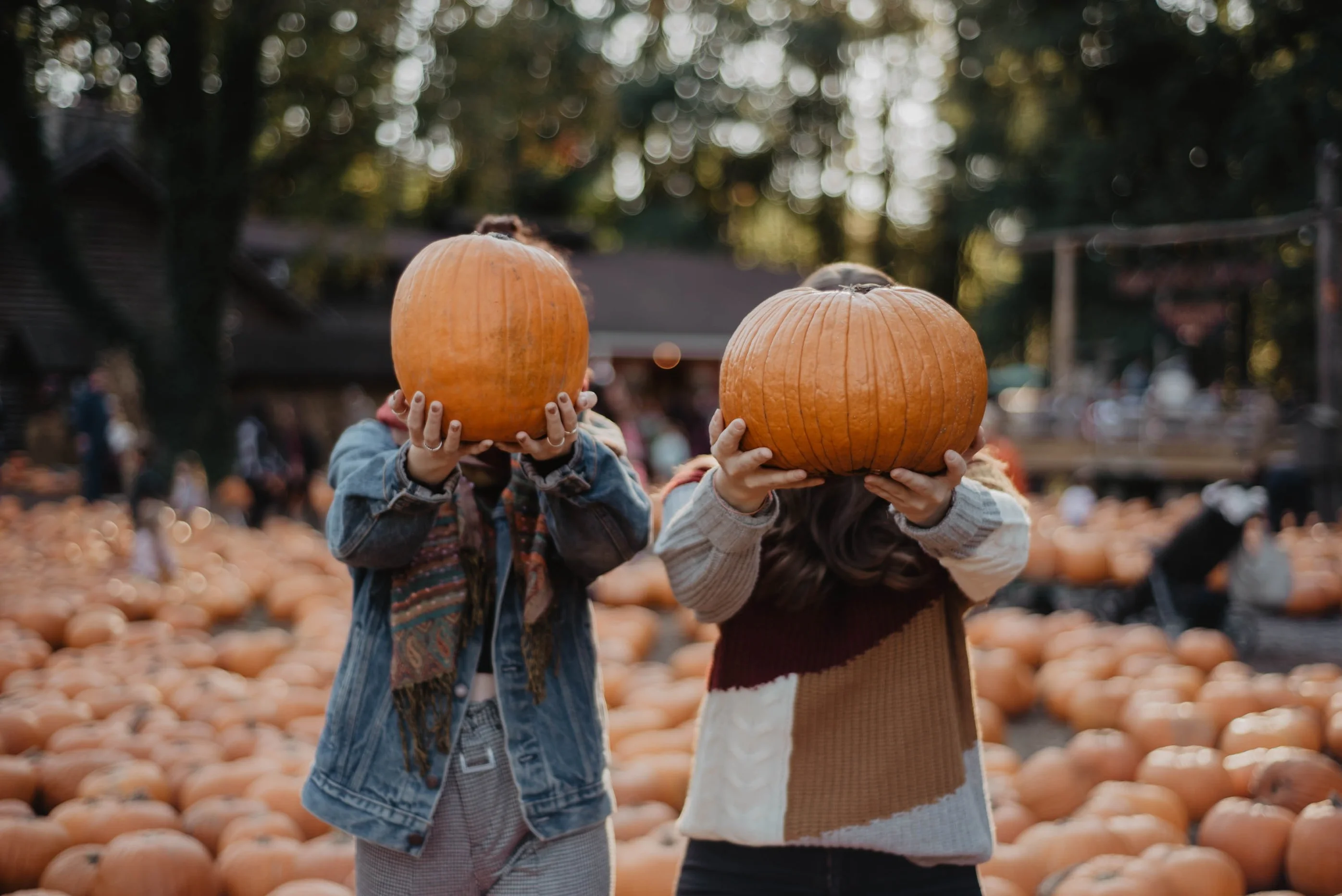 My Top 5 Fall Date Ideas