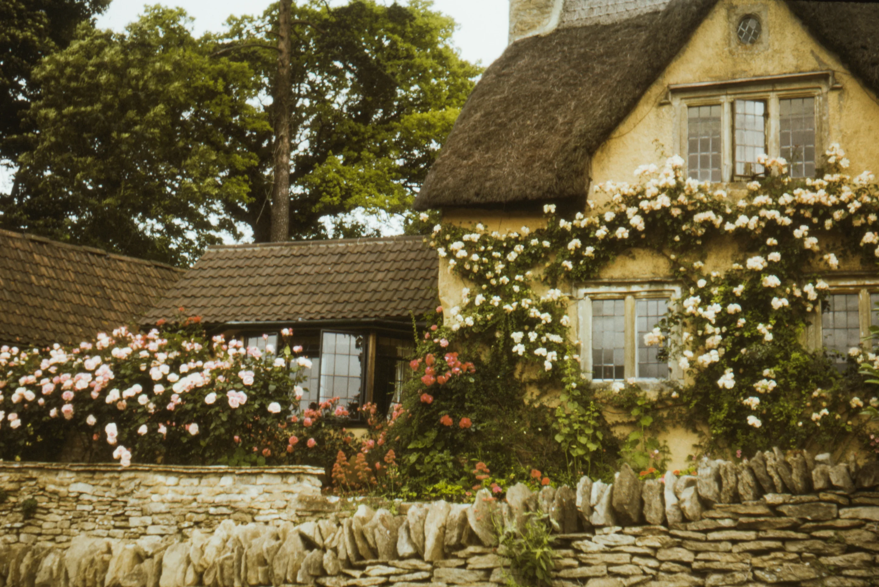 A Sense of Home