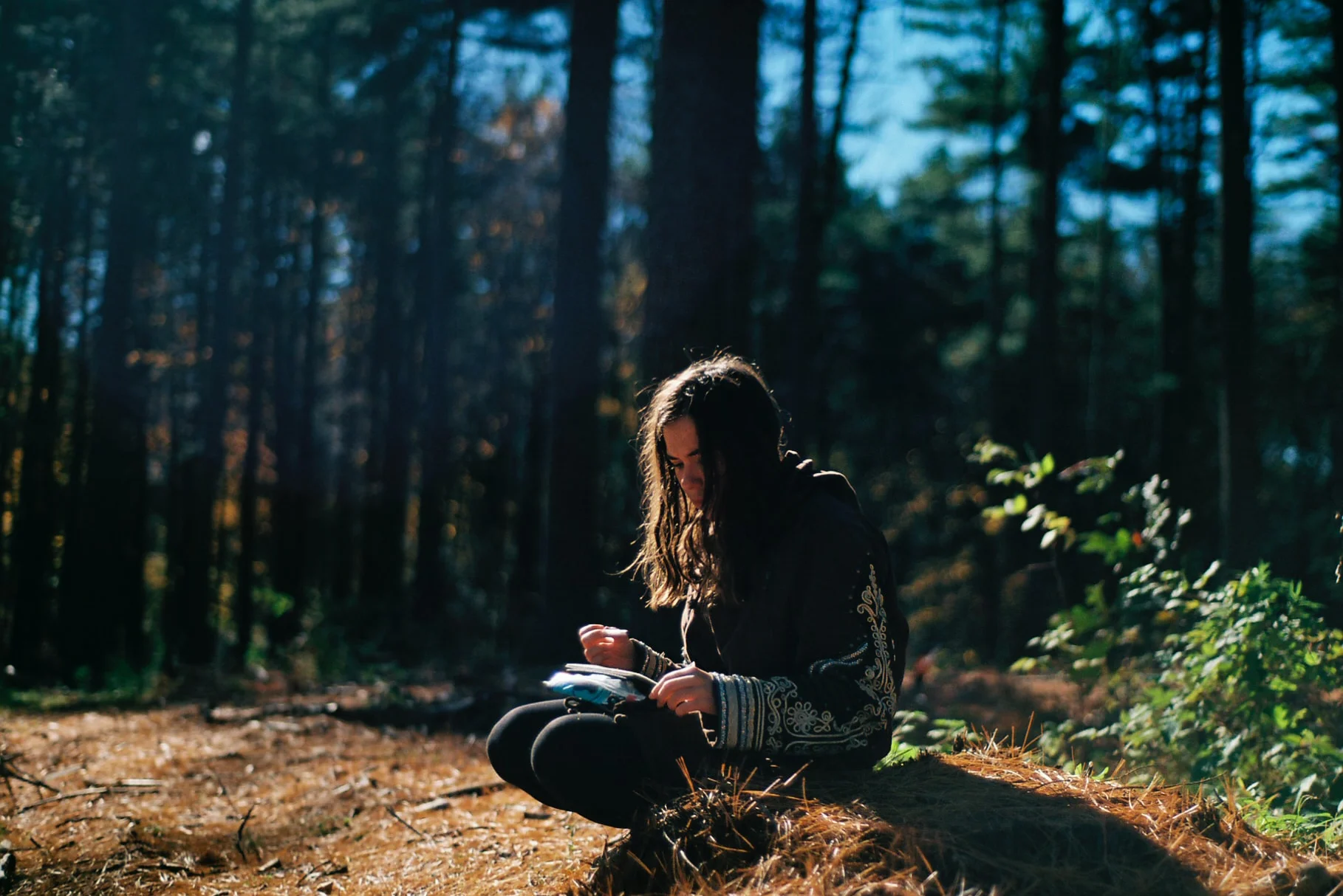 Thoreau’s Cabin: A Visit to Walden Pond