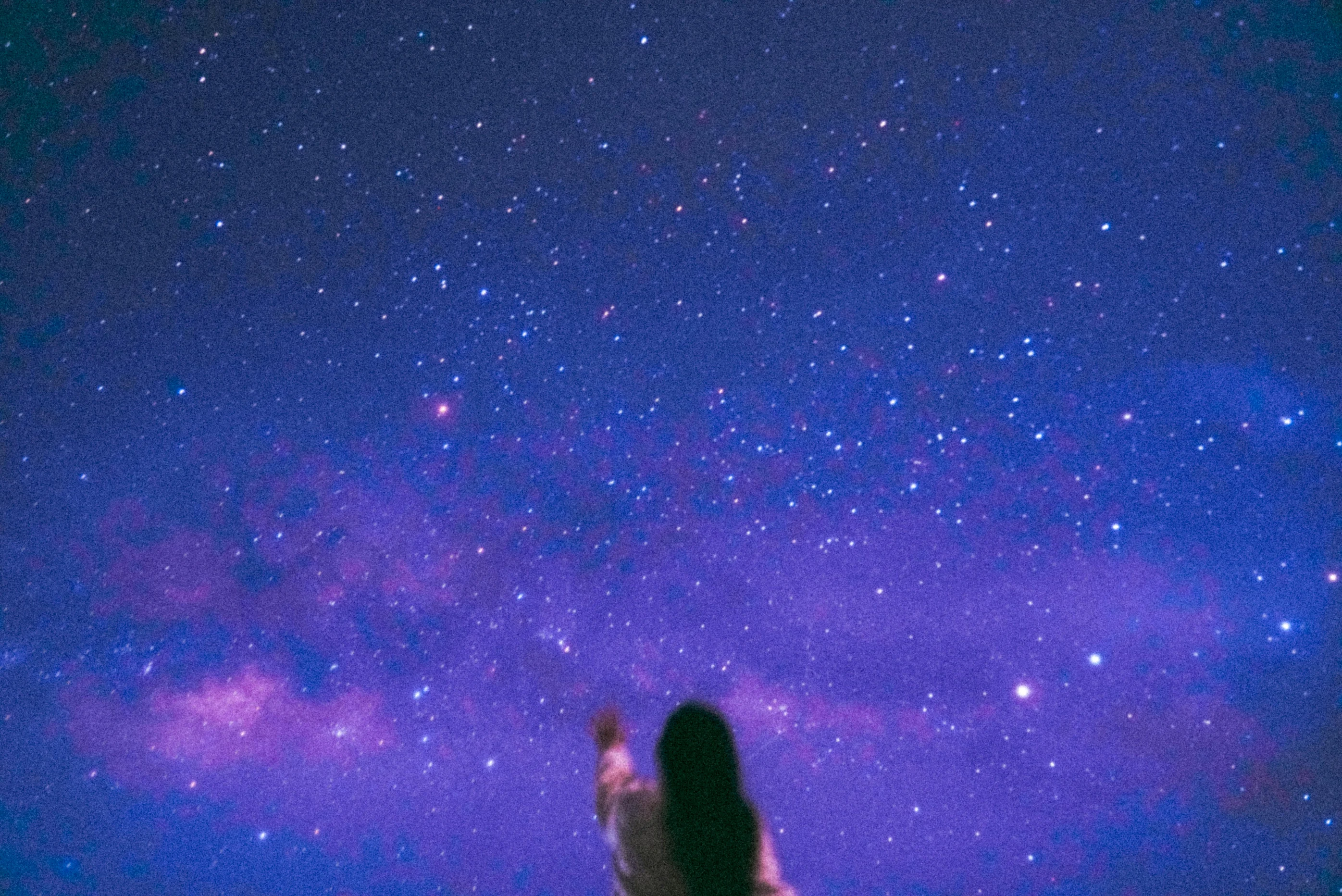 The Little Prince and The Pressure to Have Your Life Figured Out