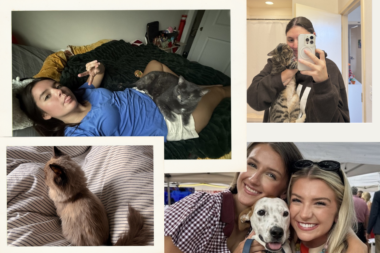 Pets Are Expensive — So How Do So Many College Students Afford Them?