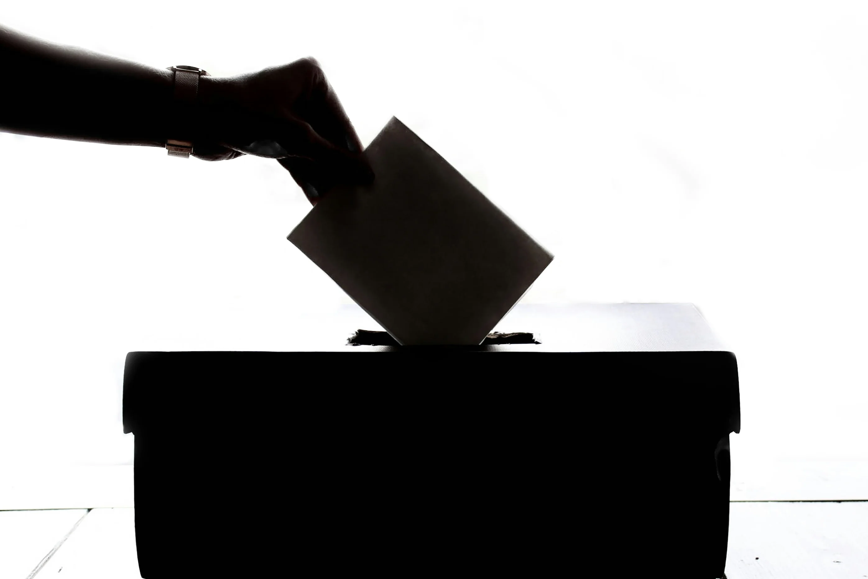 Midterms 2026: Who I’m Honoring With My Vote