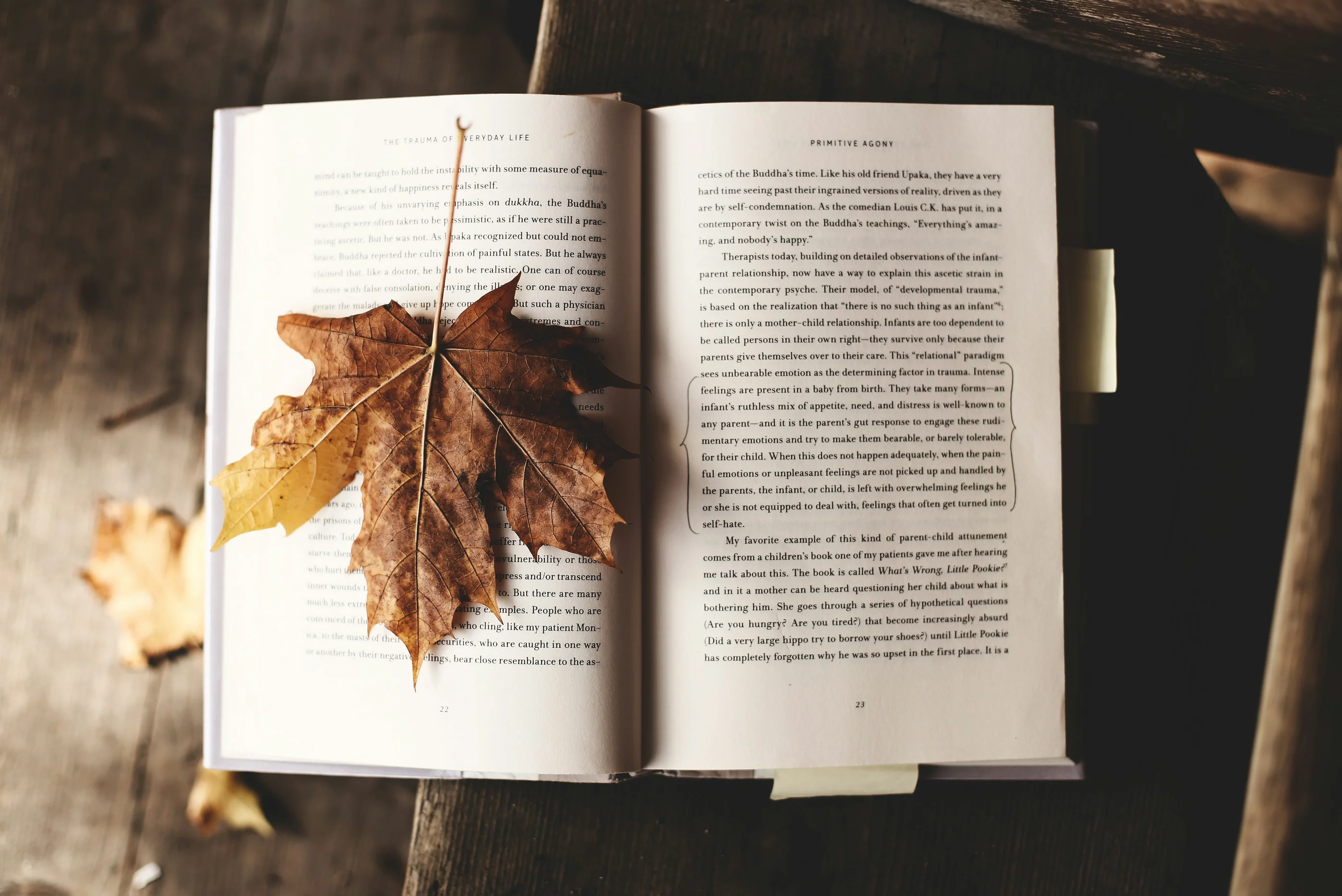 My Top 3 Books for Fall