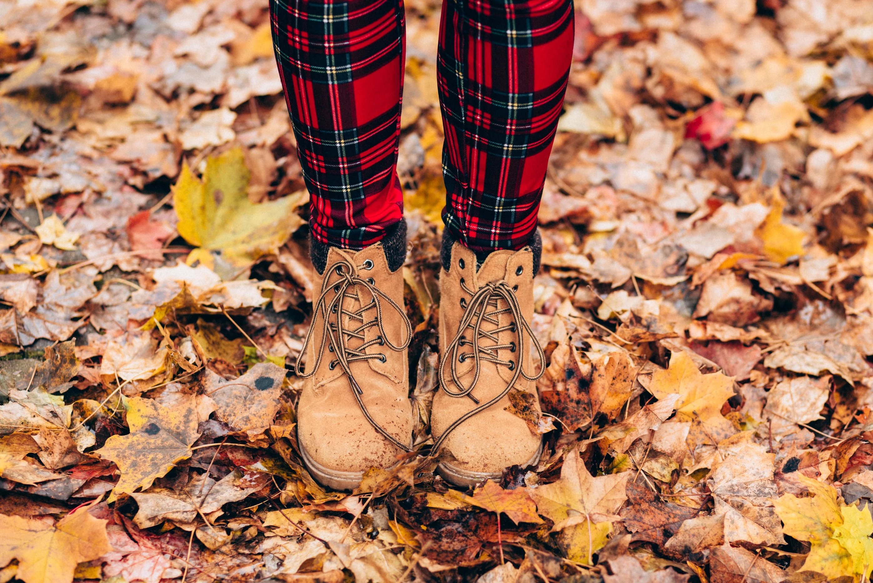 A Love Letter To Home