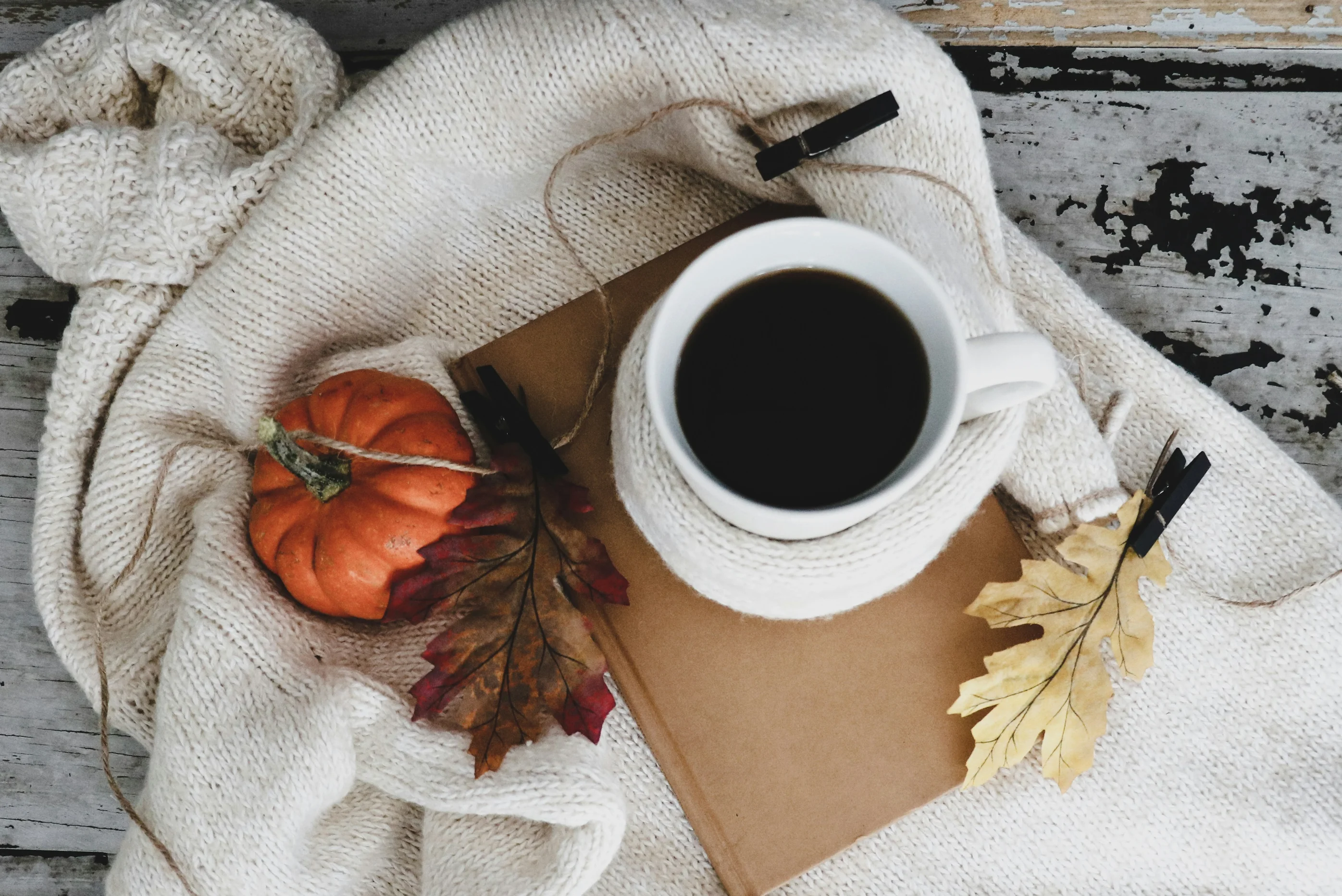 Seasonal Sips: The Best New Fall Drinks in Pittsburgh