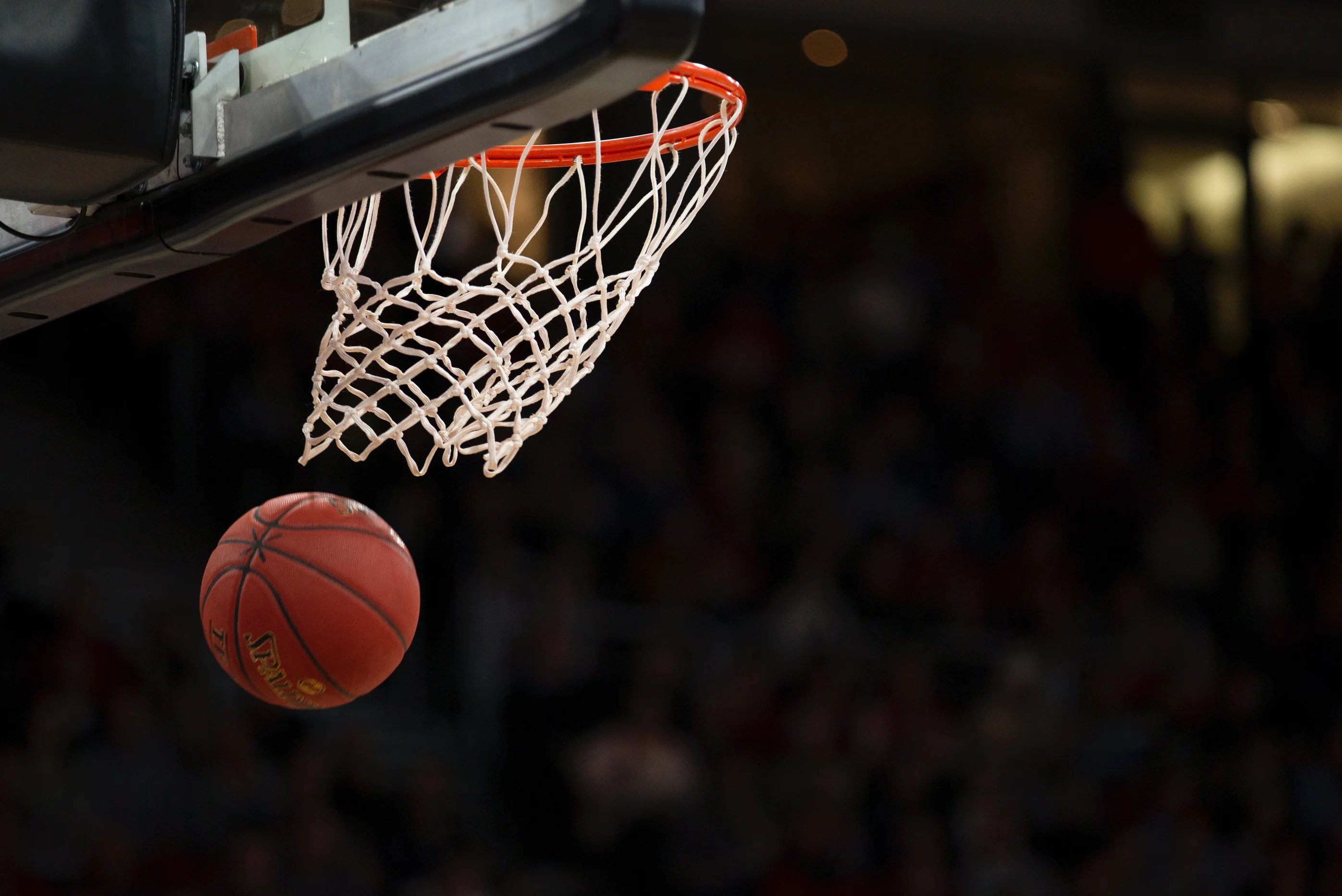 The Queens Of New York: Meet The Women’s Sports Teams Of Our City
