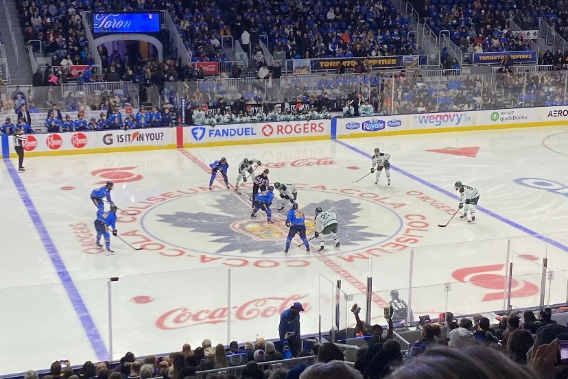 Sports & Sociality: How Sports Serve as a Binding Force for Human Connection