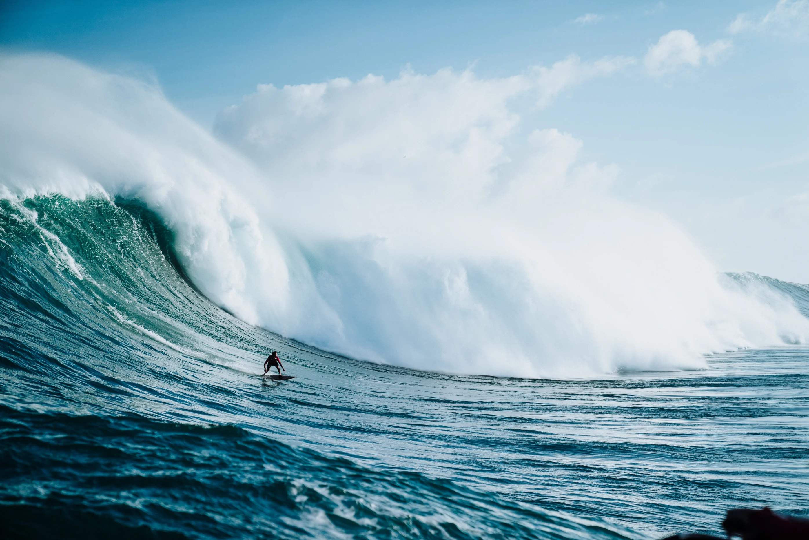 Brian Duffield’s ‘Whalefall’ Is Exactly What I Expected…Unfortunately
