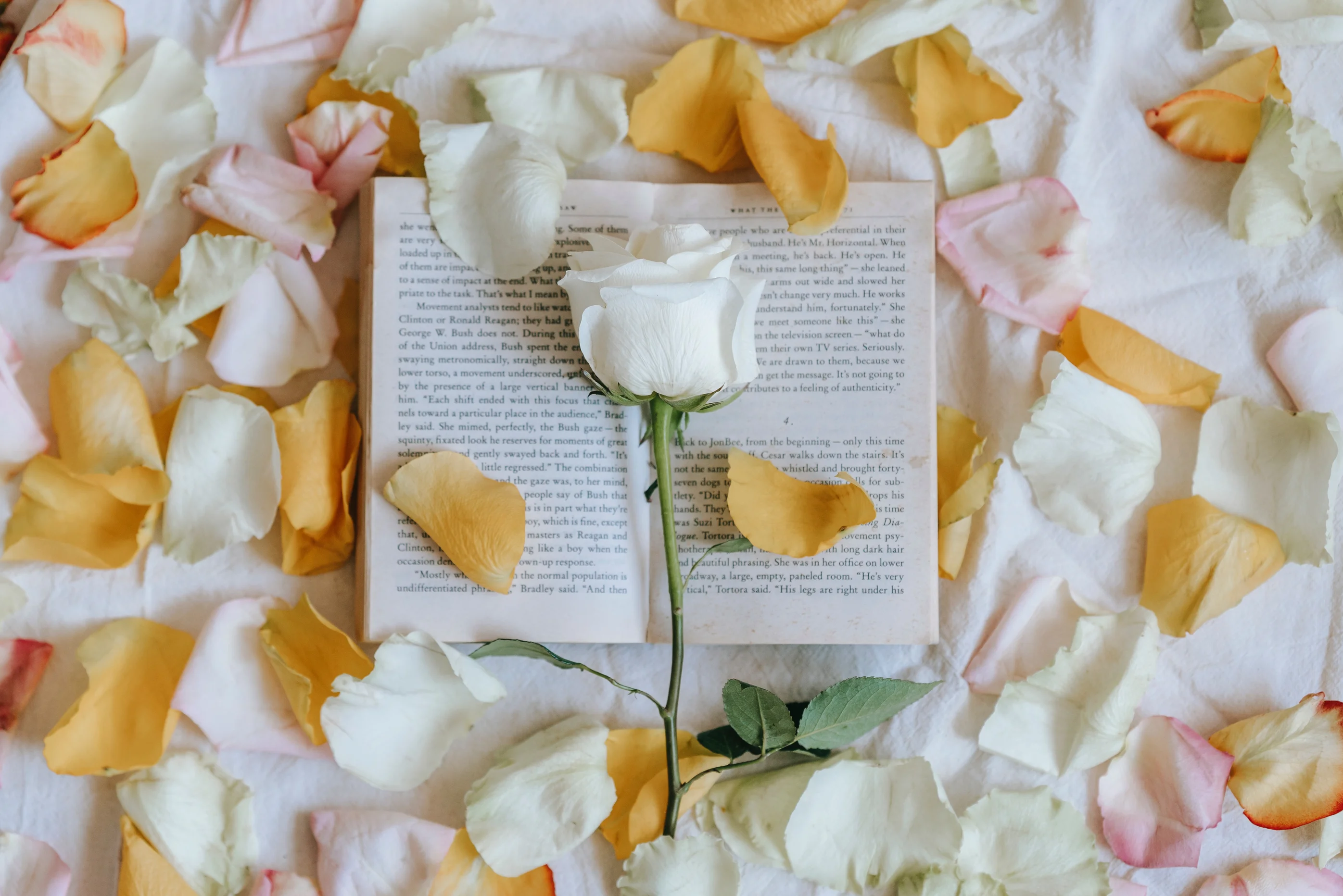 Does BookTok Improve Or Harm Our Reading Habits?