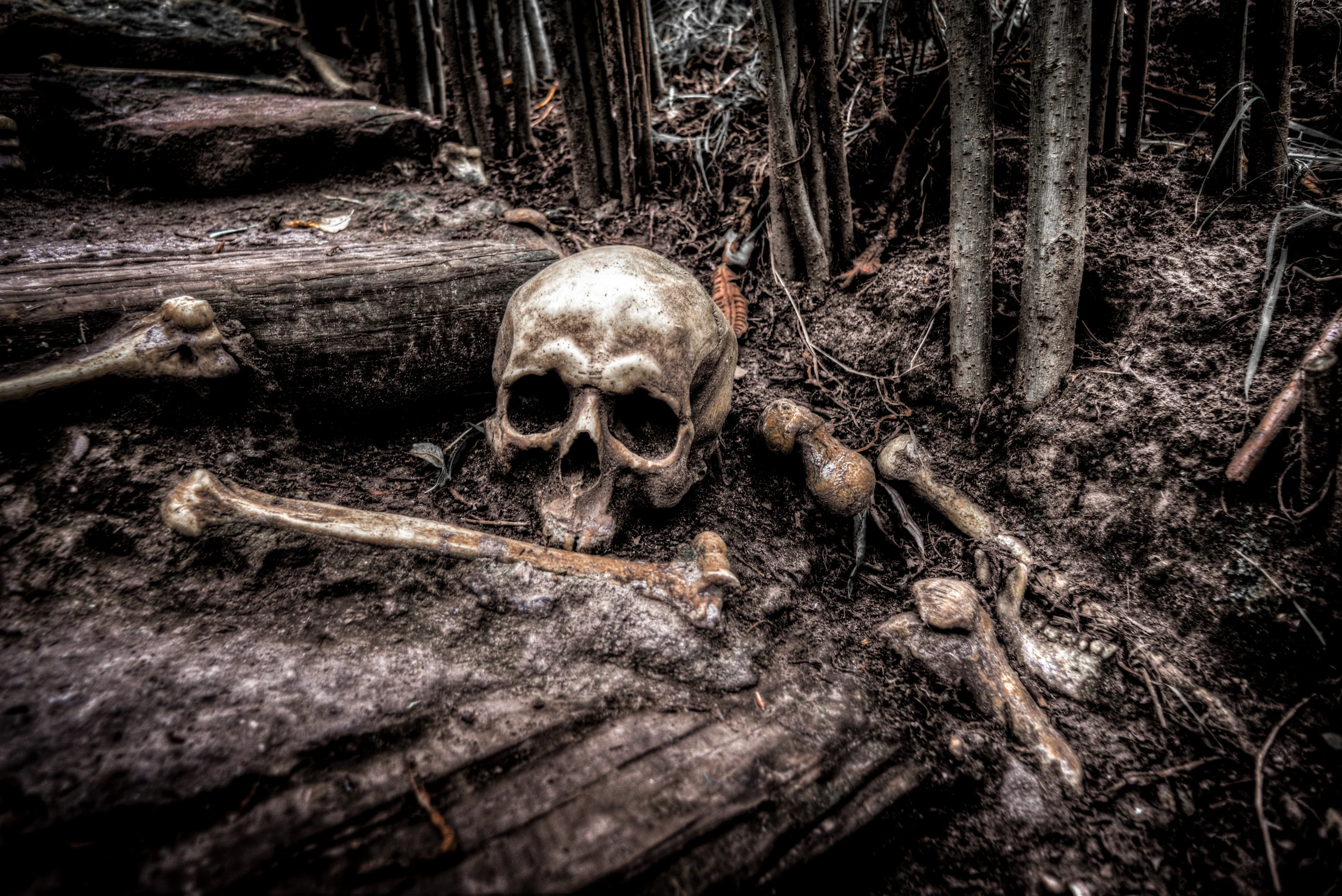 Every Horror movie is based on one horror movie, who were the pioneers of the genre?
