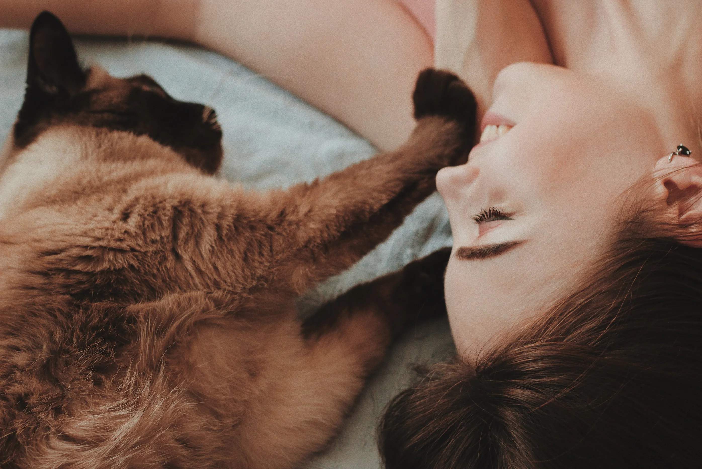 Cats and Consent