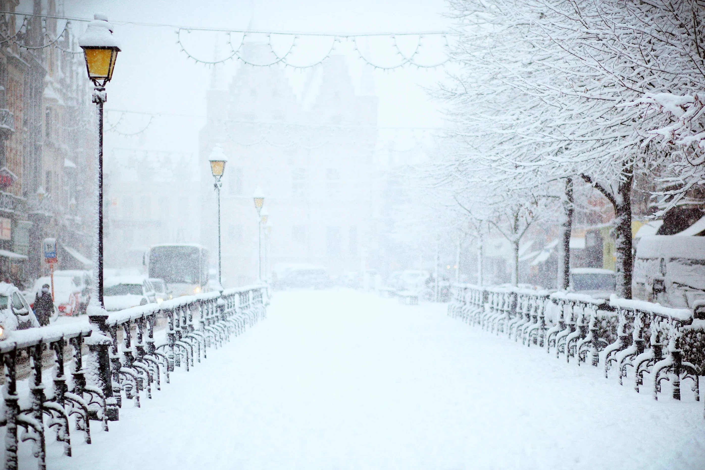 Traces in the Snow: Nostalgia of Winter 2019