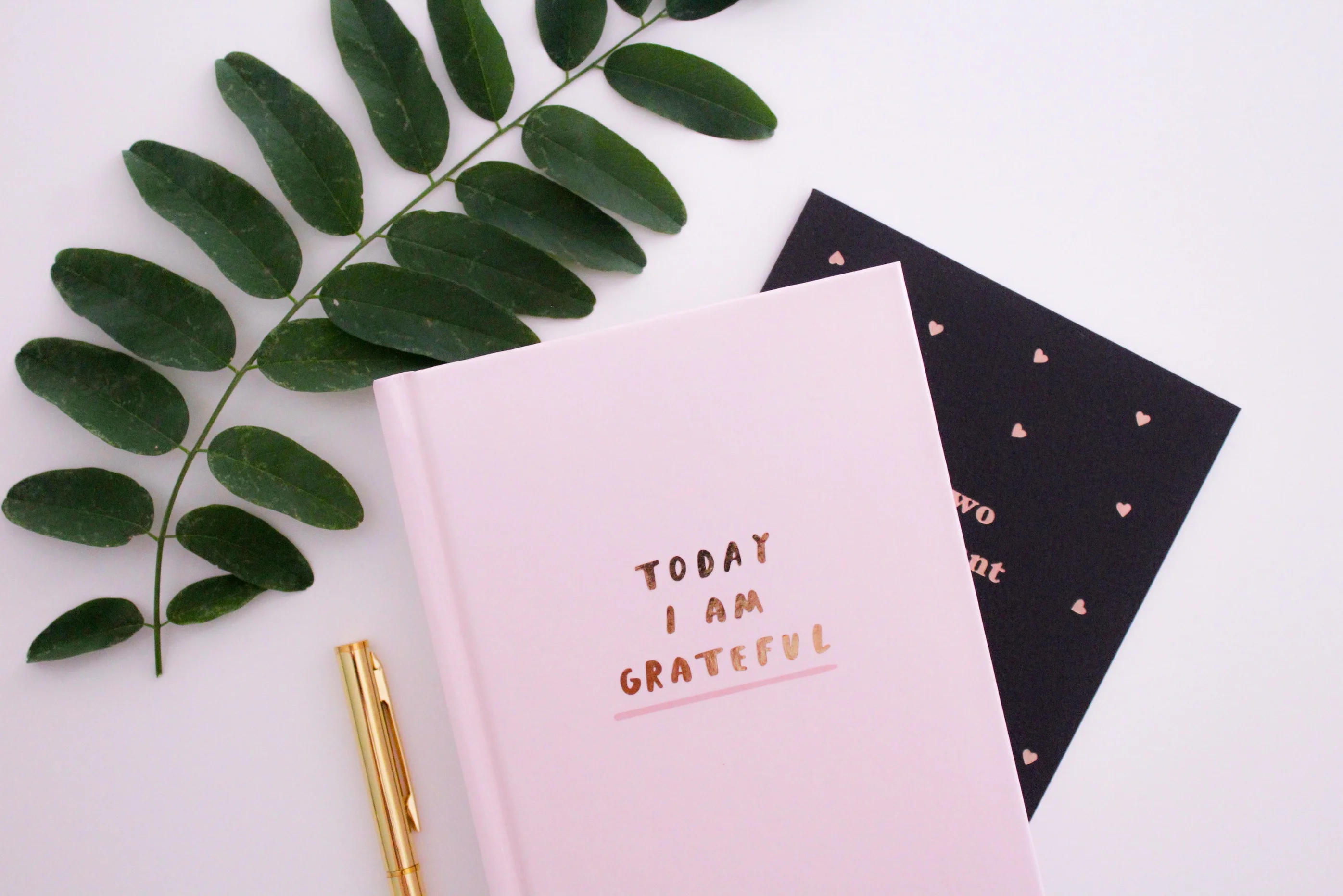 HOW I USE A JOURNAL TO ITS FULL POTENTIAL
