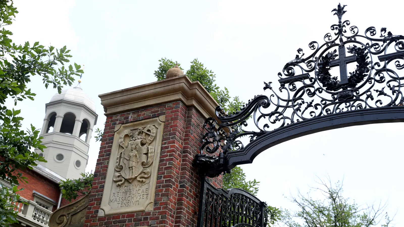 Harvard logs $100M surplus despite 20% drop in federal research money